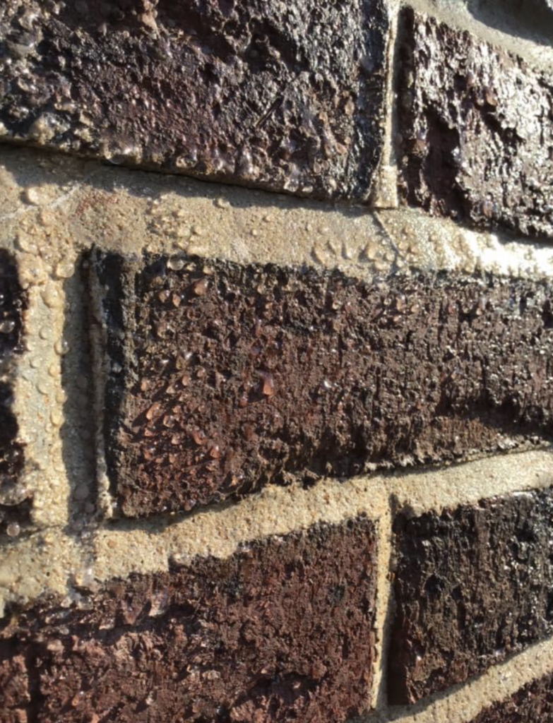 Dark Brick with Masonry Water Damage